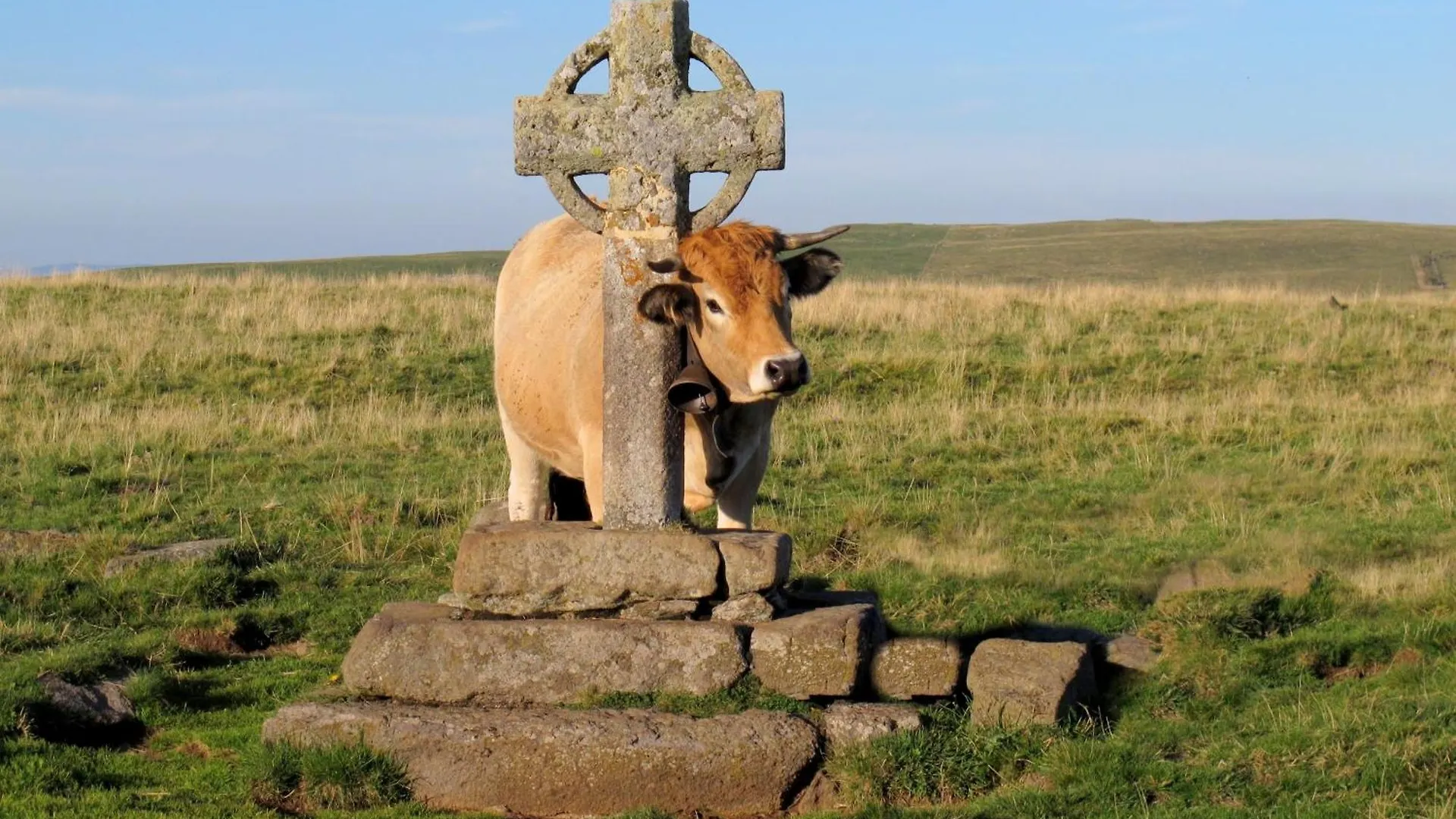 Gite La Belle Aubrac Saint-Côme-dʼOlt 0*,  Frankrijk