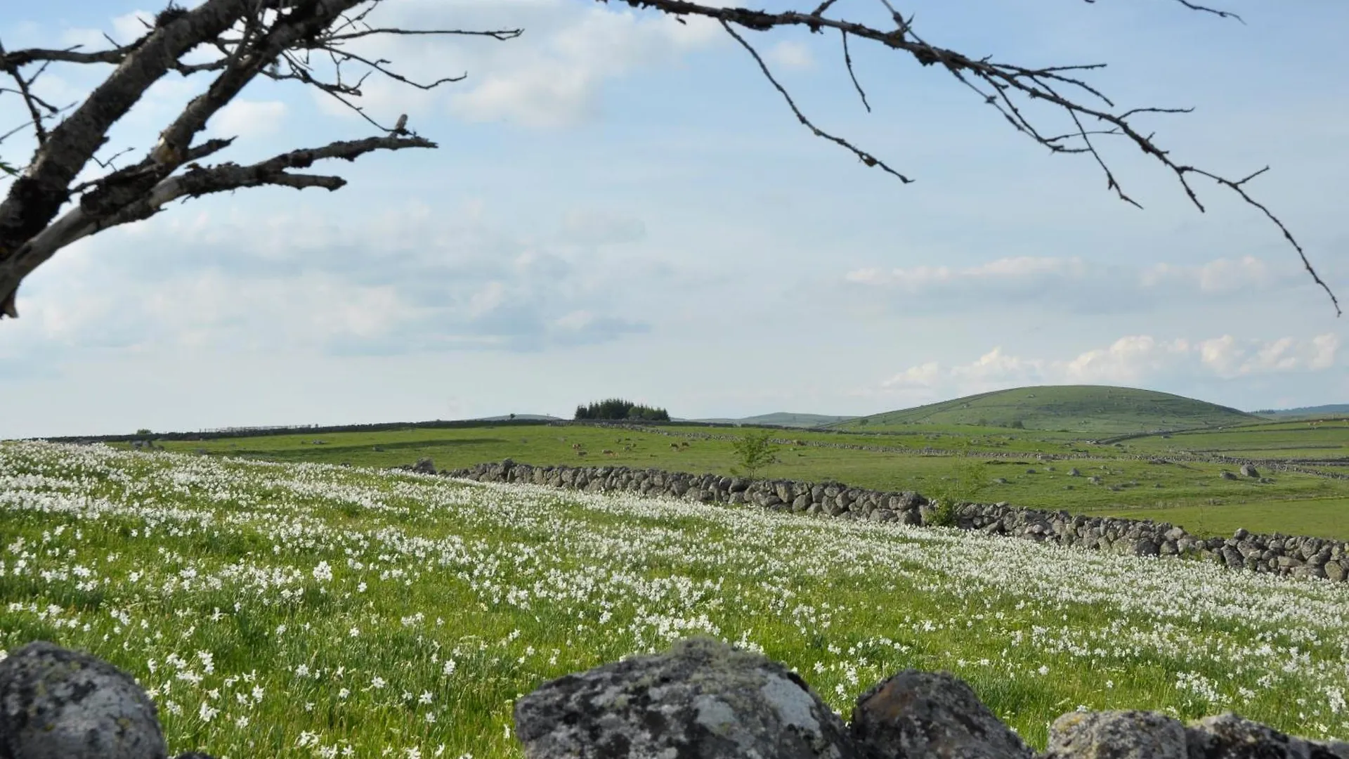 Gite La Belle Aubrac Saint-Côme-dʼOlt 0*,